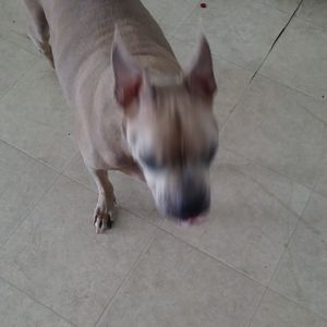 Meet your Posher, Kelly